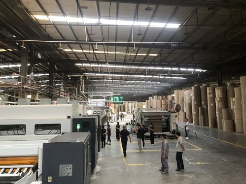 广州汇嘉纸板厂扩大产能 2.5米京山瓦线开始运行