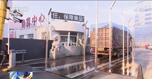 黑龙江哈尔滨 哈达果蔬批发市场恢复营业 实施严格防控措施